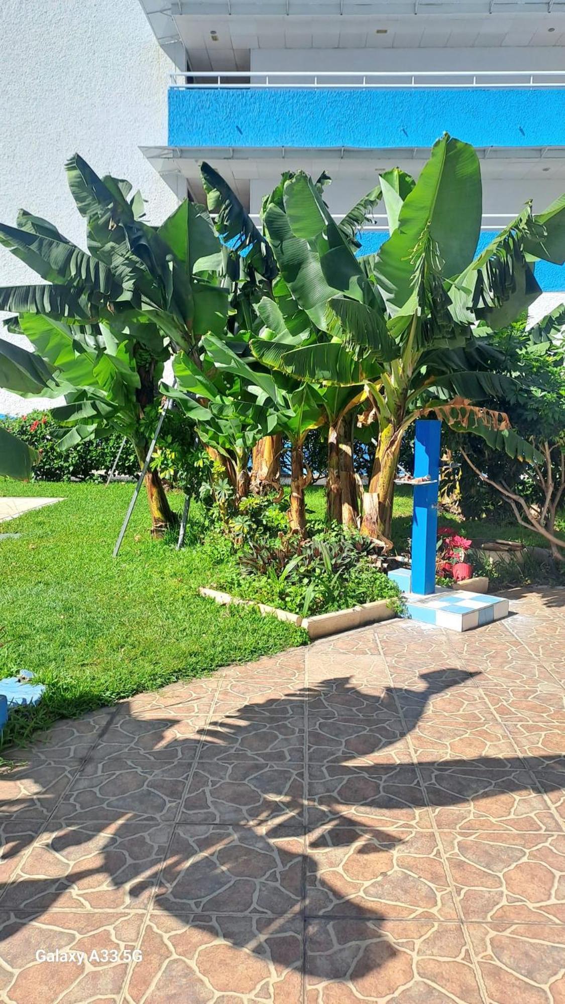 Estudio Playa Jardin Puerto de la Cruz (Tenerife) Exterior foto